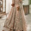 Pakistani Bridal Dresses Online USA